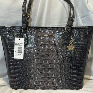 Brahmin Medium Asher Nocturnal Melbourne